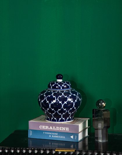 Ceramic Large Ginger Jar with Lid - Flower Vase Decor, Tea Storage, 25x21.5cm